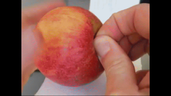 Comment couper une pomme en deux, si vous n’avez pas de couteau