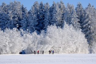 10 idées d'activités incontournables pour profiter de l'hiver au Québec