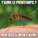 Des chasse-moustiques maison : 4 recettes pour vous défendre!