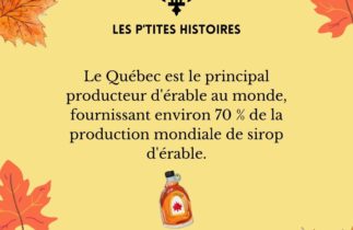 Le Québec, leader incontesté de la production de sirop d’érable