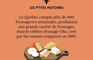 Les fromages du Québec : Un voyage culinaire.