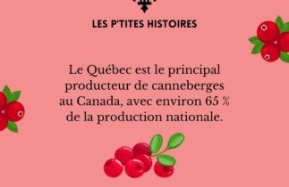 Le Québec, leader de la production de canneberges au Canada