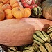 Courges d'automne : Top 5 à intégrer absolument dans vos recettes