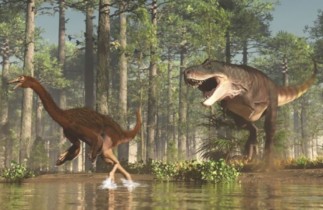 Exploration préhistorique : 5 dinosaures trouvés au Canada