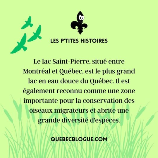 Le lac Saint-Pierre : Un écosystème vital au Québec