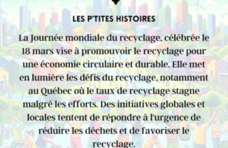 Journée mondiale du recyclage : Une conscience globale