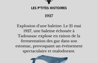 L'explosion spectaculaire d'une baleine à Tadoussac en 1927