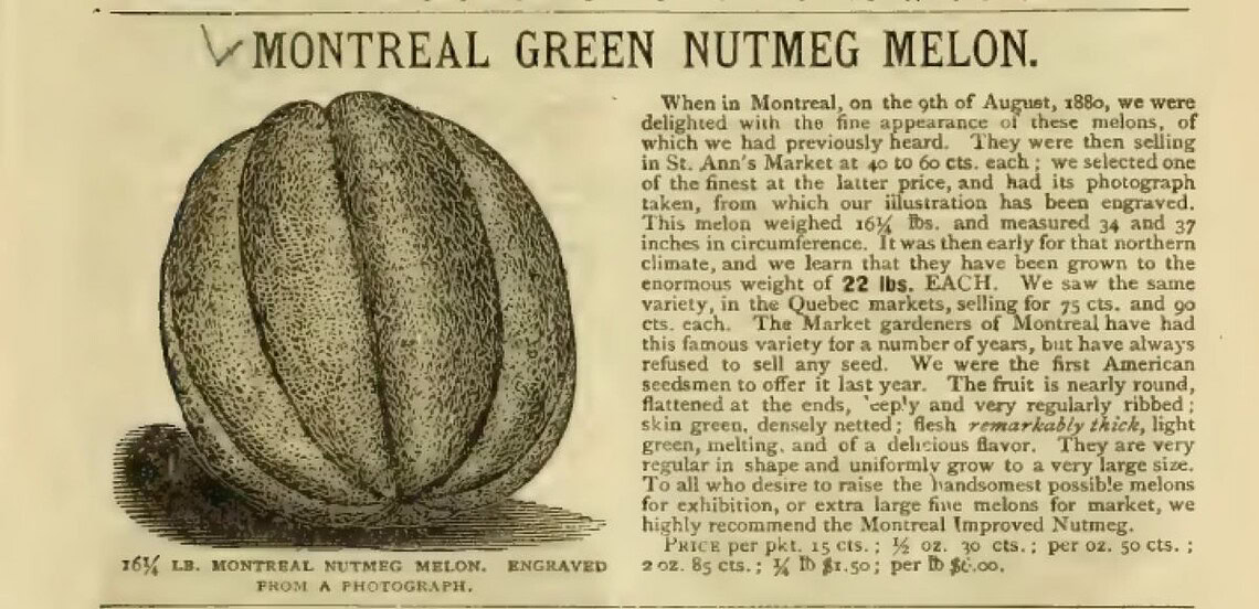 Le Melon de Montréal : Un trésor perdu et retrouvé