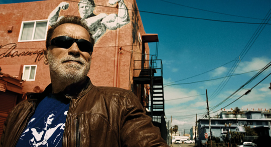 Arnold Schwarzenegger : l&rsquo;homme qui réussit tout