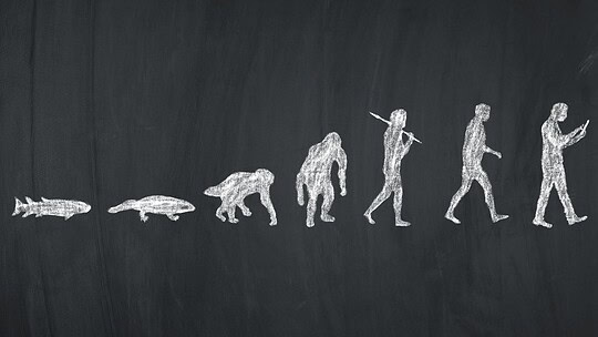 5 mensonges sur la théorie de l’évolution