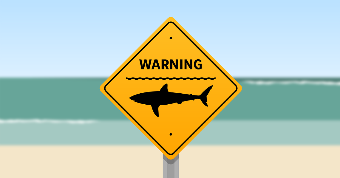 Les requins les plus dangereux du monde et où les éviter