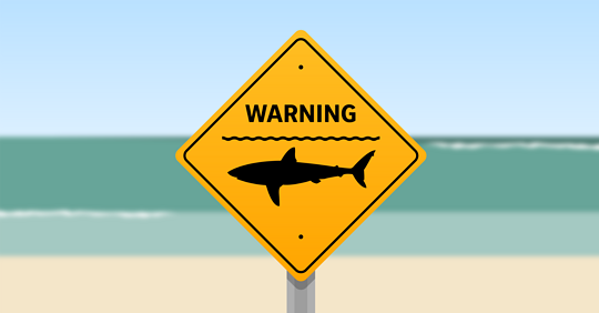 Les requins les plus dangereux du monde et où les éviter