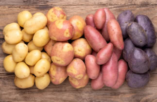L’histoire épatatante de la pomme de terre