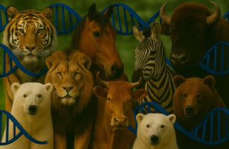 7 animaux hybrides étonnants