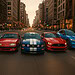 Ford Mustang : histoire d&rsquo;une légende de la route