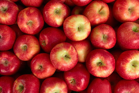 D&rsquo;où vient la pomme et comment a-t-elle conquis le monde