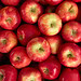 D&rsquo;où vient la pomme et comment a-t-elle conquis le monde